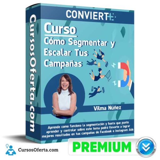 curso como segmentar y escalar tus campanas vilma nunez 652dc9121e748