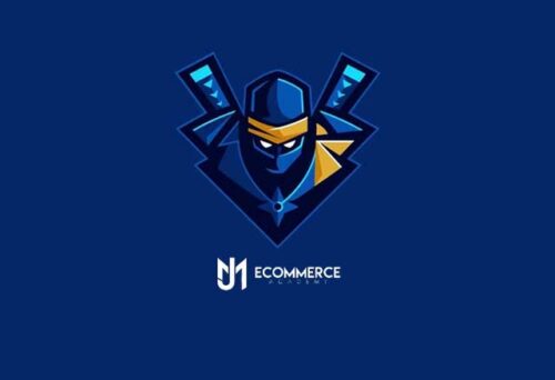 curso dropshipping ninja de manu y josef 6528f4f845e87