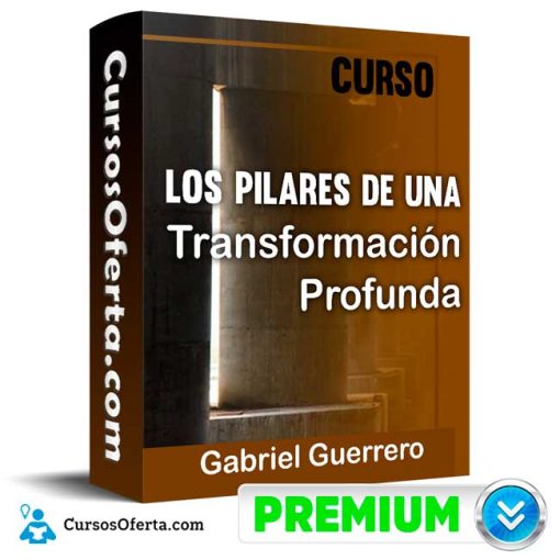 curso los pilares de una transformacion profunda gabriel guerrero 652dd56138daa