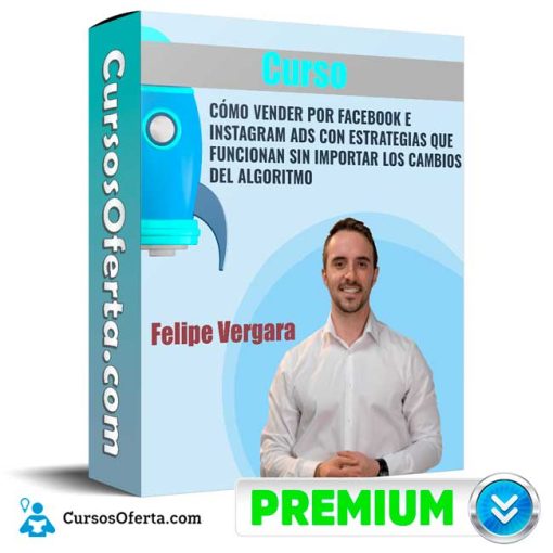 vender por facebook e instagram ads felipe vergara 652de16221391